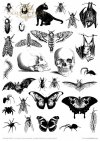 Zestaw kreatywny MS024 (HS code 48021000) Gothic Stories