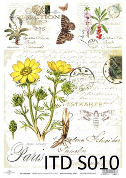 Papier decoupage Soft (HS code 48062000)  S0010